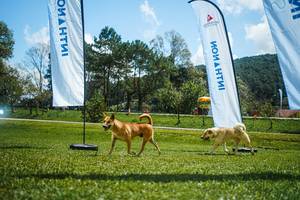 BIB: 
                            <button type="button" onclick="openModal(25006395)" class="btn btn-primary btn-sm float-right btn-popup" data-toggle="modal" data-target=".modal-high-quality">
                        <i class="fas fa-shopping-cart"></i> Add to Cart
                    </button>
                                            <button type="button" onclick="isThisMe(25006395, true)" class="btn btn-success btn-sm float-right btn-popup btn-isme hidden" data-toggle="tooltip" data-placement="bottom" title="นี่คือรูปของคุณใช่ไหม คลิกที่นี่เพื่อเอาเข้าอัลบั้ม">
                        <i class="fas fa-plus"></i> Add to album
                    </button>
                    <button type="button" onclick="isThisMe(25006395, false)" class="btn btn-warning btn-sm float-right btn-popup btn-isnotme hidden">
                        <i class="fas fa-ban"></i> Remove from album
                    </button>